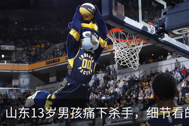 山东13岁男孩痛下杀手，细节看的人触目惊心！